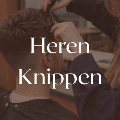 WhatsApp Image 2026-02-25 at 17.17.18 (2)